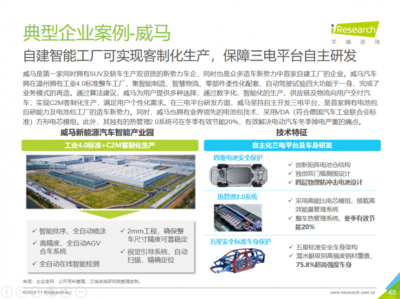 2025年新能源市場展望 威馬等企業潛力無限，技術咨詢服務助力行業騰飛