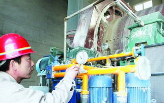 北疆水泥 以技術改造與產品創新，引領行業節能新篇章